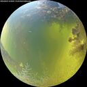 ./images/calvert/underwater/20260803/underwater20260803_122001M.jpg