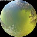 ./images/calvert/underwater/20260803/underwater20260803_122501M.jpg