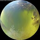./images/calvert/underwater/20260803/underwater20260803_123001M.jpg