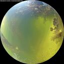 ./images/calvert/underwater/20260803/underwater20260803_123501M.jpg