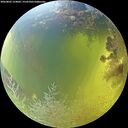 ./images/calvert/underwater/20260803/underwater20260803_124001M.jpg