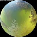 ./images/calvert/underwater/20260803/underwater20260803_124501M.jpg
