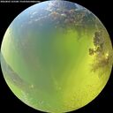 ./images/calvert/underwater/20260803/underwater20260803_125501M.jpg