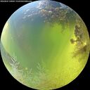 ./images/calvert/underwater/20260803/underwater20260803_130001M.jpg