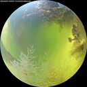 ./images/calvert/underwater/20260803/underwater20260803_130501M.jpg