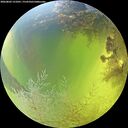./images/calvert/underwater/20260803/underwater20260803_131001M.jpg