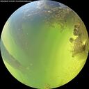 ./images/calvert/underwater/20260803/underwater20260803_131502M.jpg