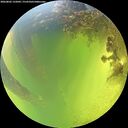 ./images/calvert/underwater/20260803/underwater20260803_132002M.jpg