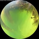 ./images/calvert/underwater/20260803/underwater20260803_133501M.jpg