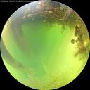 ./images/calvert/underwater/20260803/underwater20260803_134001M.jpg