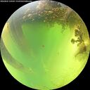 ./images/calvert/underwater/20260803/underwater20260803_134502M.jpg