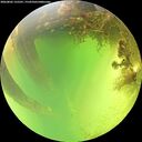 ./images/calvert/underwater/20260803/underwater20260803_135501M.jpg
