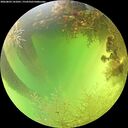 ./images/calvert/underwater/20260803/underwater20260803_141001M.jpg