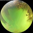 ./images/calvert/underwater/20260803/underwater20260803_141501M.jpg