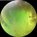 ./images/calvert/underwater/20260803/underwater20260803_142501M.jpg