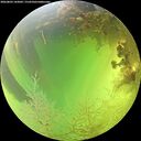 ./images/calvert/underwater/20260803/underwater20260803_143001M.jpg
