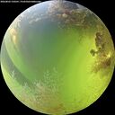 ./images/calvert/underwater/20260803/underwater20260803_150501M.jpg