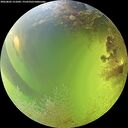 ./images/calvert/underwater/20260803/underwater20260803_151001M.jpg