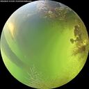 ./images/calvert/underwater/20260803/underwater20260803_151501M.jpg