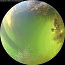 ./images/calvert/underwater/20260803/underwater20260803_153001M.jpg