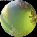 ./images/calvert/underwater/20260803/underwater20260803_154501M.jpg