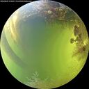 ./images/calvert/underwater/20260803/underwater20260803_155001M.jpg