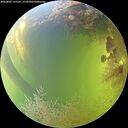./images/calvert/underwater/20260803/underwater20260803_155501M.jpg