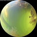 ./images/calvert/underwater/20260803/underwater20260803_160001M.jpg