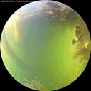 ./images/calvert/underwater/20260803/underwater20260803_160501M.jpg