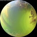./images/calvert/underwater/20260803/underwater20260803_161001M.jpg