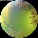 ./images/calvert/underwater/20260803/underwater20260803_162501M.jpg