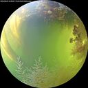 ./images/calvert/underwater/20260803/underwater20260803_163002M.jpg