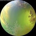 ./images/calvert/underwater/20260803/underwater20260803_163501M.jpg