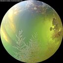 ./images/calvert/underwater/20260803/underwater20260803_164001M.jpg