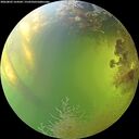 ./images/calvert/underwater/20260803/underwater20260803_164501M.jpg