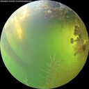 ./images/calvert/underwater/20260803/underwater20260803_165501M.jpg