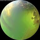 ./images/calvert/underwater/20260803/underwater20260803_170001M.jpg