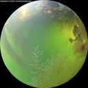 ./images/calvert/underwater/20260803/underwater20260803_171001M.jpg