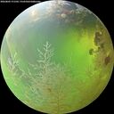 ./images/calvert/underwater/20260803/underwater20260803_171502M.jpg