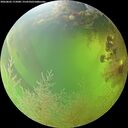 ./images/calvert/underwater/20260803/underwater20260803_172001M.jpg