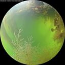 ./images/calvert/underwater/20260803/underwater20260803_172501M.jpg