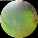 ./images/calvert/underwater/20260803/underwater20260803_175001M.jpg