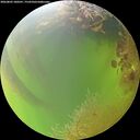 ./images/calvert/underwater/20260803/underwater20260803_180501M.jpg