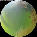 ./images/calvert/underwater/20260803/underwater20260803_183501M.jpg