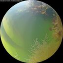 ./images/calvert/underwater/20260803/underwater20260803_190001M.jpg