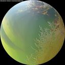 ./images/calvert/underwater/20260803/underwater20260803_190501M.jpg