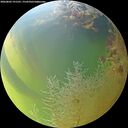 ./images/calvert/underwater/20260803/underwater20260803_191501M.jpg