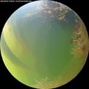 ./images/calvert/underwater/20260803/underwater20260803_192001M.jpg