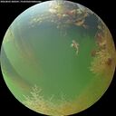 ./images/calvert/underwater/20260803/underwater20260803_200502M.jpg
