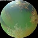 ./images/calvert/underwater/20260803/underwater20260803_201002M.jpg